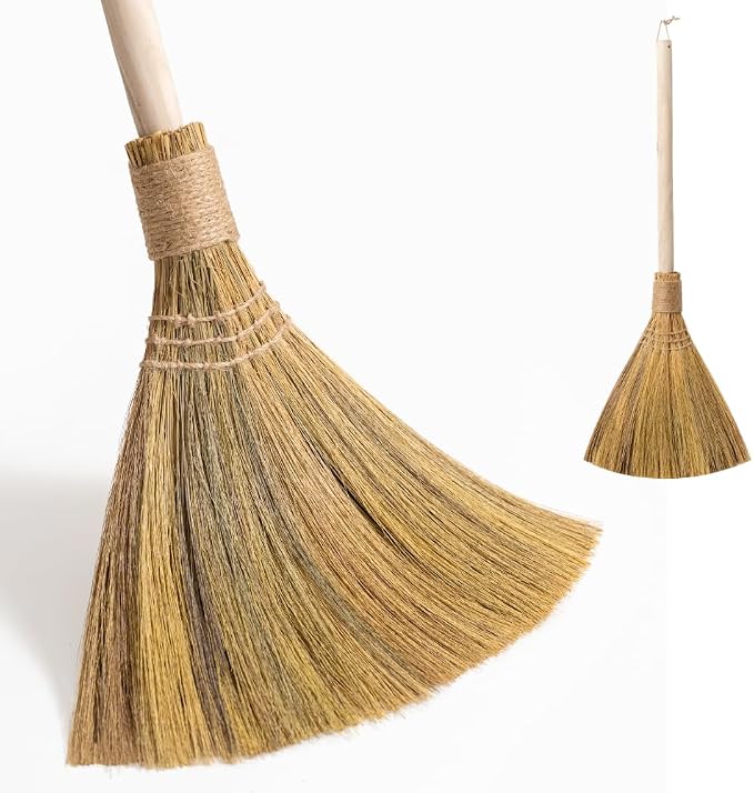 Natural Whisk Sweeping Hand Handle Broom by TTSForHome