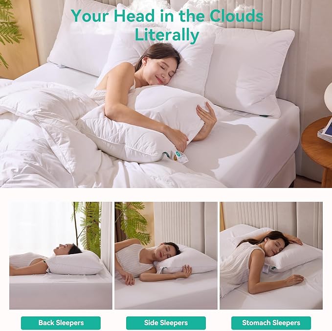 Three Geese White Goose Feather Down Pillows Queen Size Set of 1-100% Cotton, Medium Firm,Soft Support