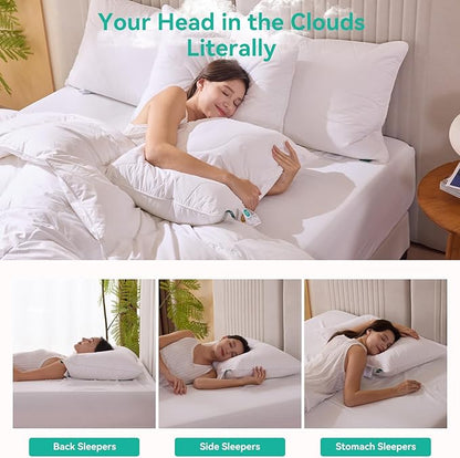 Three Geese White Goose Feather Down Pillows Queen Size Set of 1-100% Cotton, Medium Firm,Soft Support