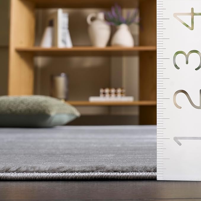 SAFAVIEH Area Rug 12x18 - Vision Collection - Large - Silver, Modern Ombre Design, Non-Shedding & Easy to Clean, Ideal for Living Room, Bedroom, Dining Space (VSN606G)