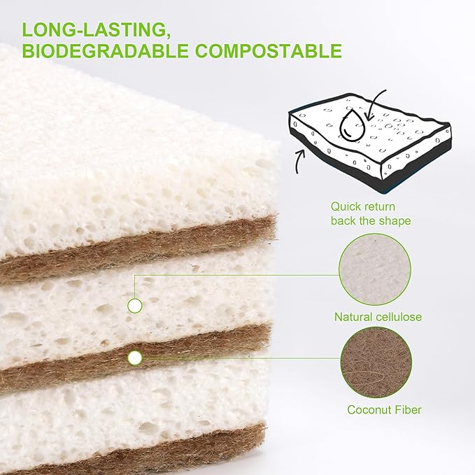 Natural Sponges for Dishes 12 Pack - Image 4