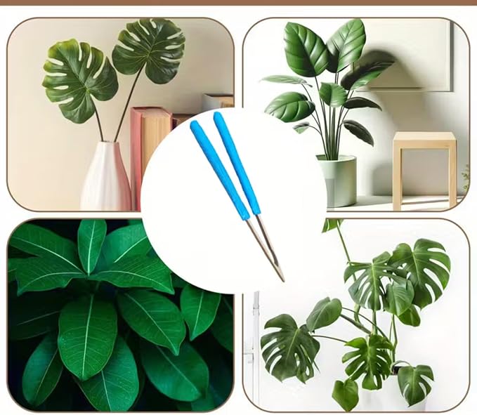 2 Pcs Set 10 Inch, 7 Inch Leaf Cleaning Tongs, House Plant Leaf Cleaning Brush - Image 5
