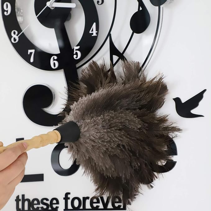 Natural Gray Ostrich Feather Duster, 2 Packs, Car Duster Interior/Exterior - Image 5