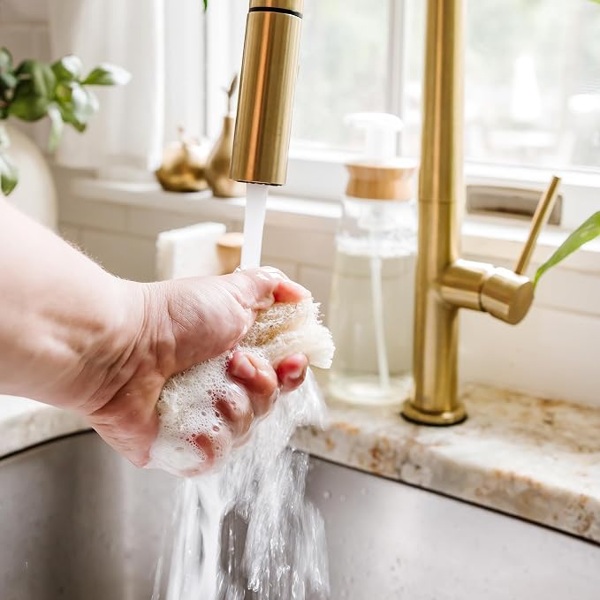 Full Circle Nutcase, Plant-Based Scrubber Sponges – Pack of 6 – 3 Walnut & 3 - Image 9