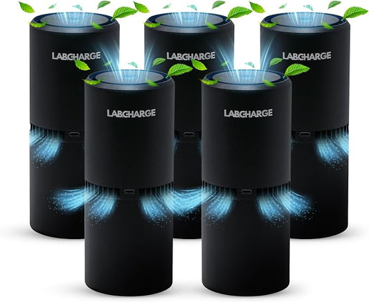 LabCharge Small Ionic Air Purifier by LabCharge