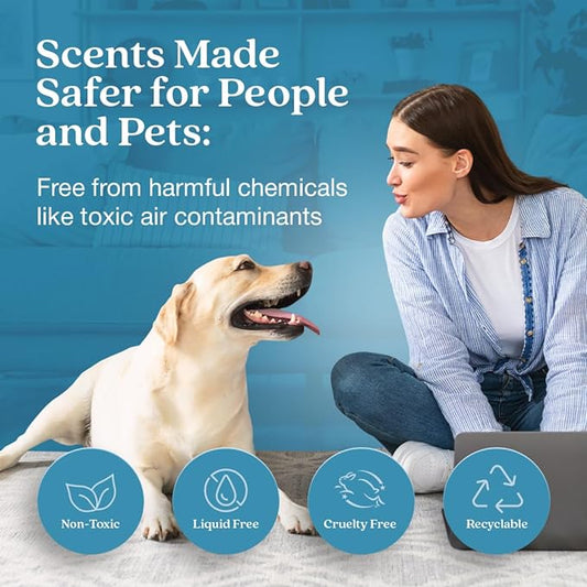 Enviroscent Non-Toxic Air Freshener - Image 2