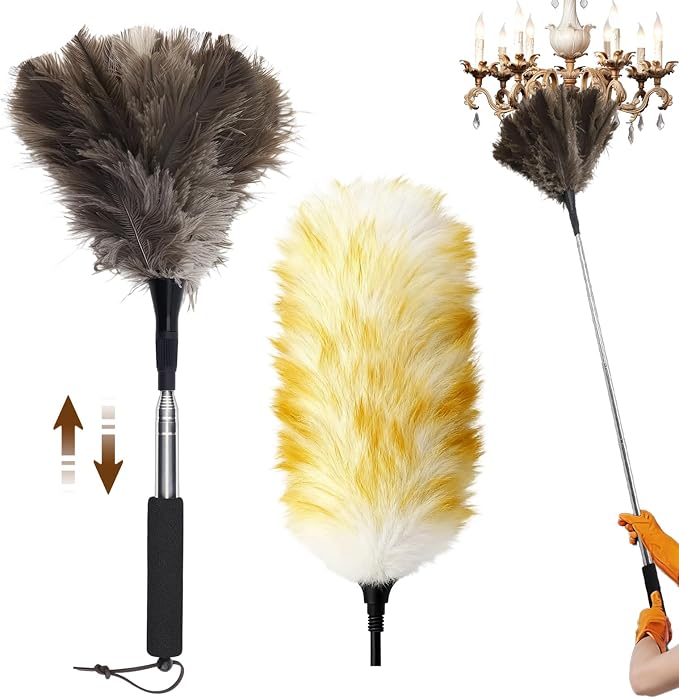 Extendable Ostrich Feather Duster by Unknown