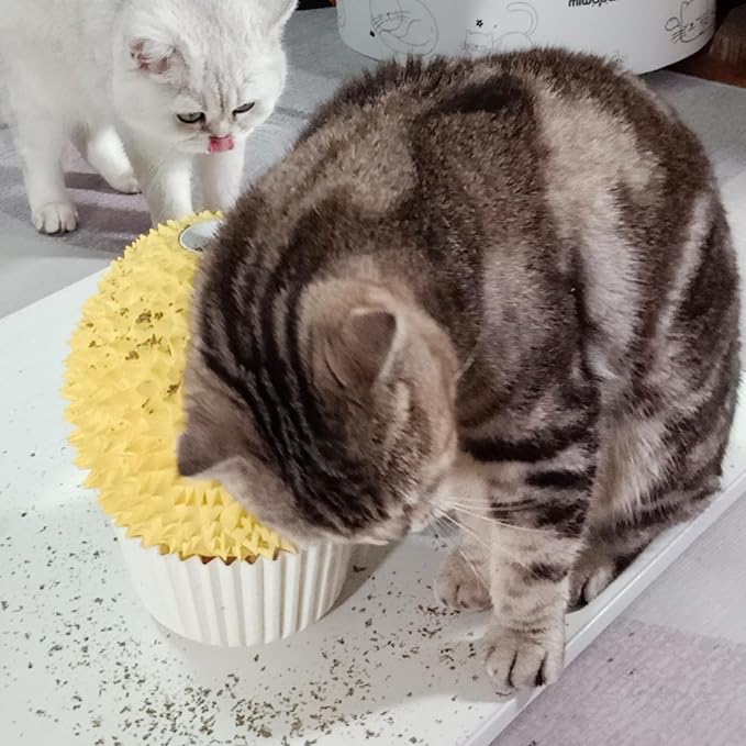 Catnip Feeder and Self Grooming Toys - Image 2