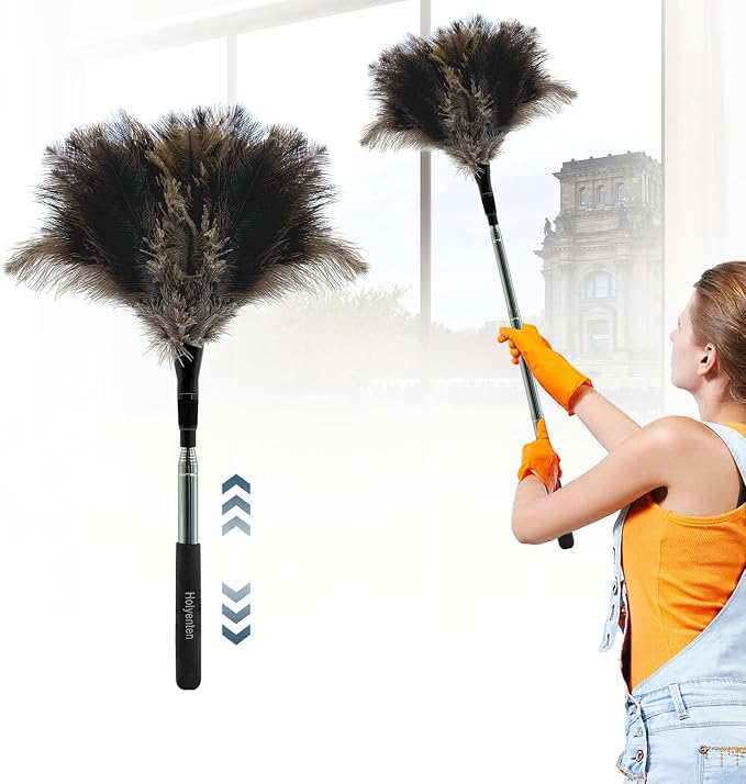 Extendable Feather Duster by Unknown