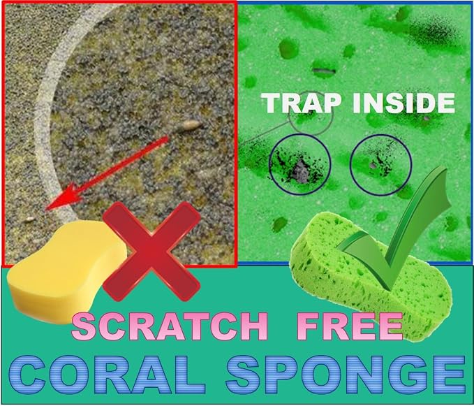 Large Soft Touch Coral Sponges, High Foam, - Image 4