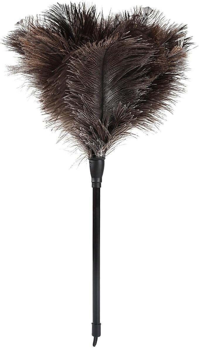 Natural Ostrich Feather Duster 14.9 inch Fluffy Mini Dusters by Daieeparty