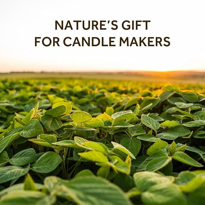 NORVENCE Soy Wax for Candle Making, Natural Soy Wax Flakes 5lb, Premium Candle - Image 2