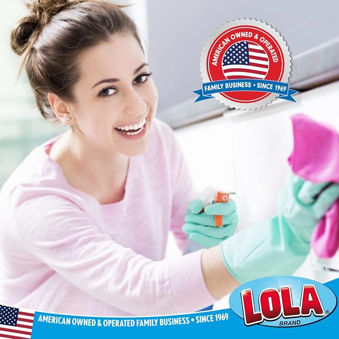 LOLA Microfiber & Nylon Net Sponges, 4 Pack, 2 Dual Sided Non Scratch Sponge - Image 7