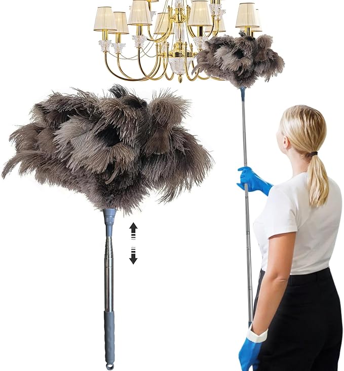 Ostrich Feather Duster with Extension Pole by Practicalproducts