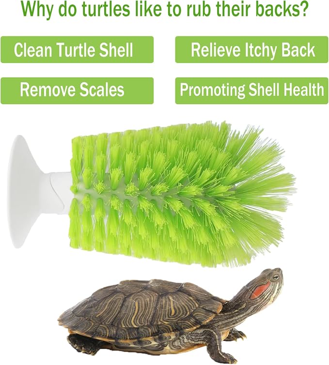 Turtle Scrub Brush, Turtle Scratches Back Brush Turtle Shell Clean Brush - Image 2
