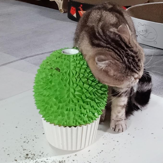Catnip Feeder - Cat Face Scratcher Wall Corner Massage Comb - Image 2