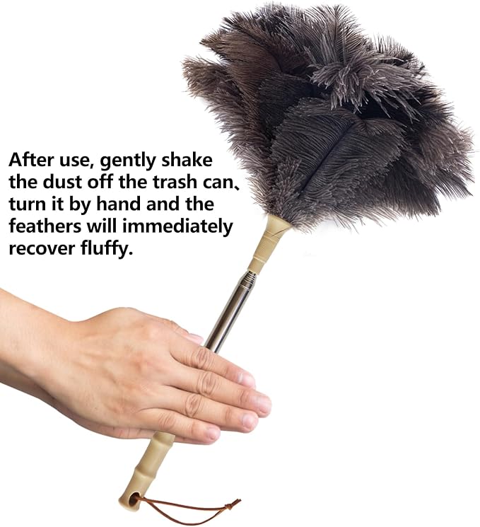 Aldwin Ostrich Feather Duster - Image 5