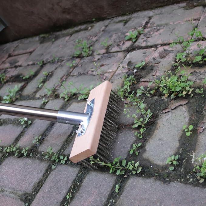 MAXMAN Stainless Steel Floor Scrubber Scrub Brush - Image 3