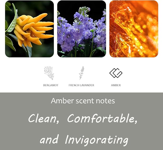 Amber Air Freshener, Stone Scent Starter Kit, Odor Eliminator - Image 4