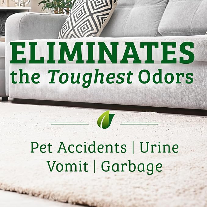 Biokleen Bac-Out Pet Stain Remover - Image 2