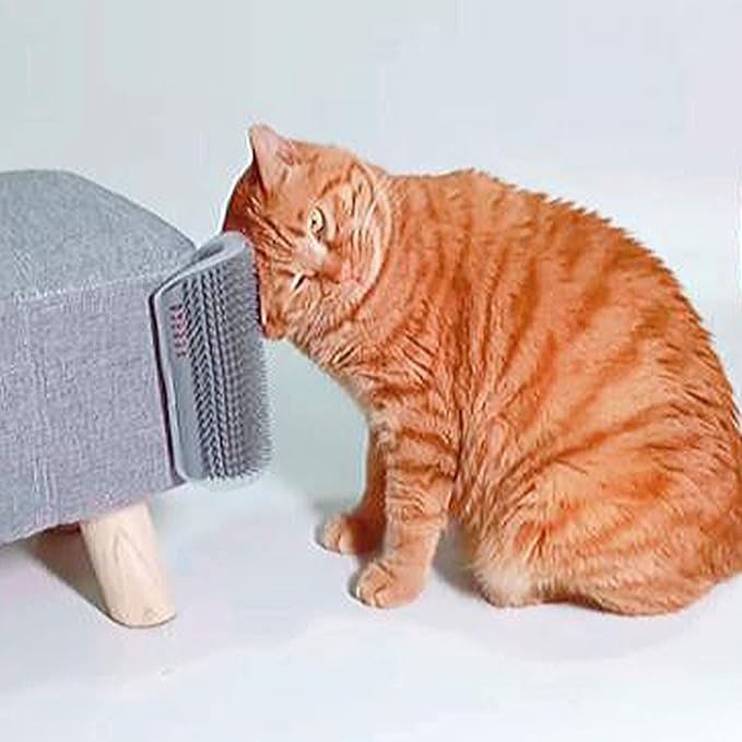 Extended 2 Pack Self Grooming Cat Brush - Image 4