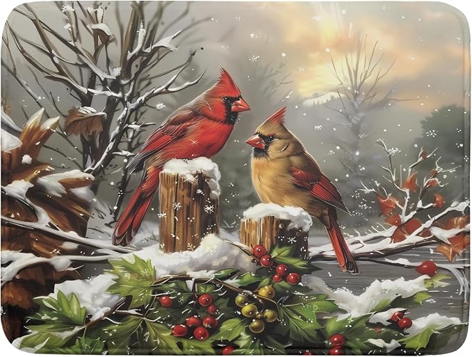 Winter Dish Drying Mat for Kitchen Counter 18x24 Inch Red Birds Cardinal Tree by Aytipun