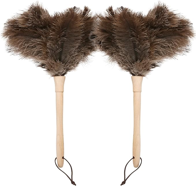 Ostrich Duster Fluffy Natural Feather Dusters by Daieeparty