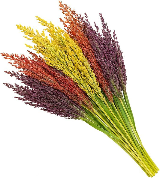 100+ Broom Corn Seeds Mix – Heirloom Sorghum Seeds, Crafts & Floral by Jocadew