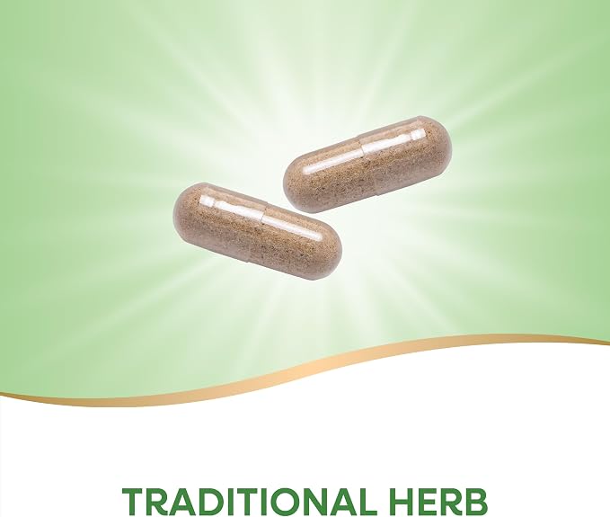 Nature's Way Butcher’s Broom, Traditional Herb, 720 mg per 2-Capsule Serving - Image 3