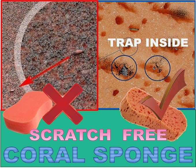Ultimate Premium 5-Pack Coral Sponge Set - Image 2