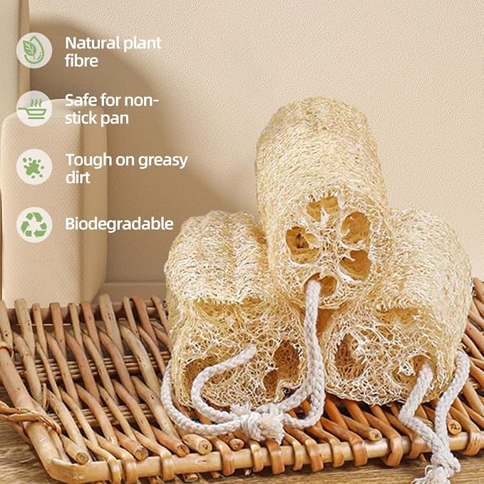 5-Pieces Bamboo Dish Brush Set - Image 6