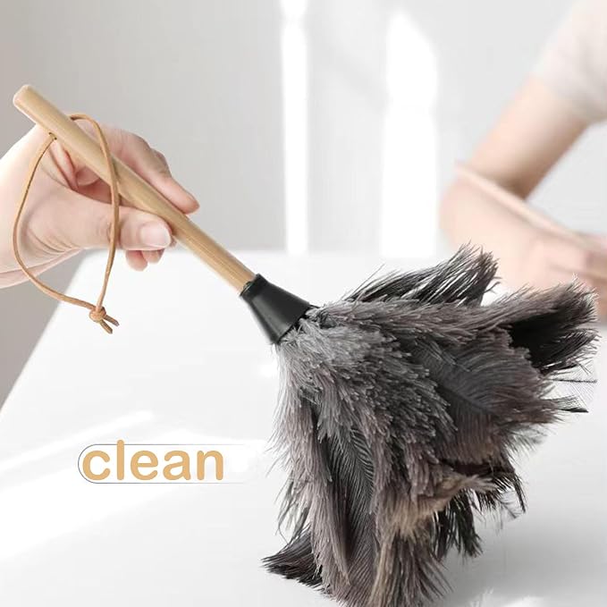 Ostrich Feather Dusters, Naturally Soft, Solid Wood Handle, 17.3'' Long - Image 5