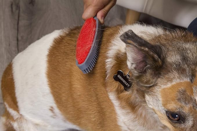 FURemover Duo Pet Hair Rubber Brush, Dual Sided to Easily Remove Fur and Lint - Image 5