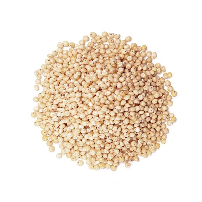 Food to Live Organic Italian White Whole Grain Sorghum, 10 Pounds — Non-GMO - Image 3