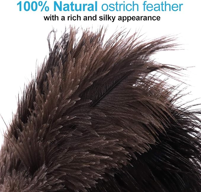 Natural Black Ostrich Feather Duster, 2 Packs, Car Duster Interior/Exterior - Image 3