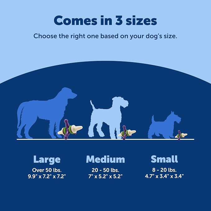 PetSafe Busy Buddy Jack - Image 5