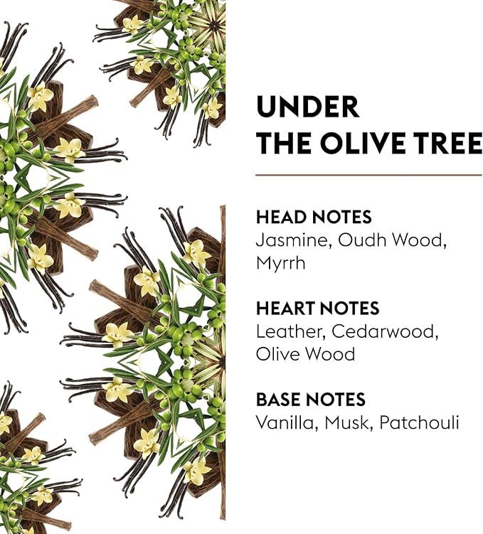 MAISON BERGER - Under The Olive Tree - Lampe Berger Fragrance Refill - Image 2