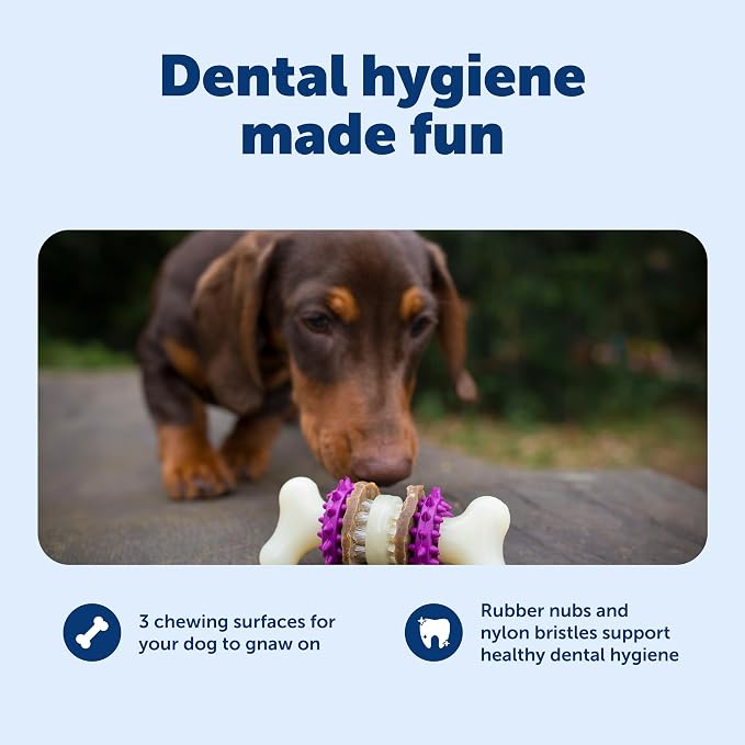 PetSafe Busy Buddy Bristle Bone - Image 3