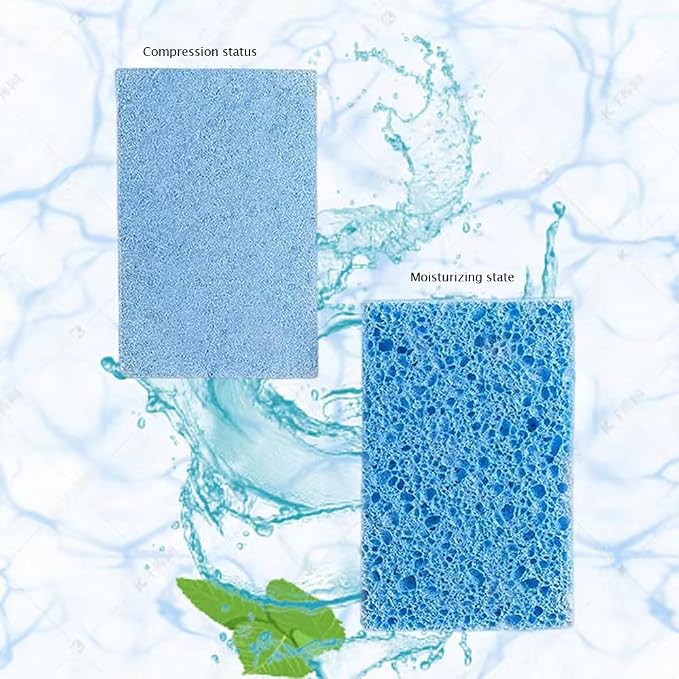 Cellulose Sponges, Heavy Duty Scrub - Image 2