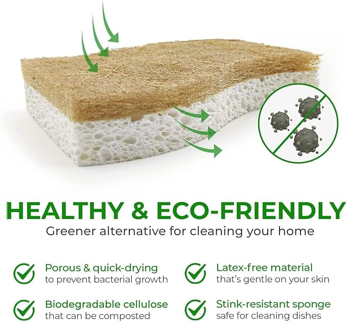 Biodegradable Natural Kitchen Sponge - Image 4