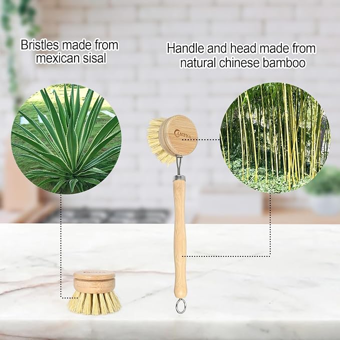 Bamboo Dish Brush with Handle - Image 3