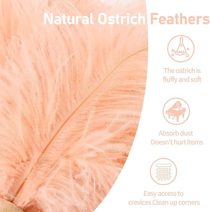 Ostrich Feather Duster 12 Inch Handheld Duster Supplies, Wooden Handle Feather - Image 3