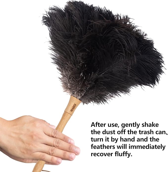 Aldwin Ostrich Feather Duster, 16 inch Black Genuine Ostrich Feathers - Image 5