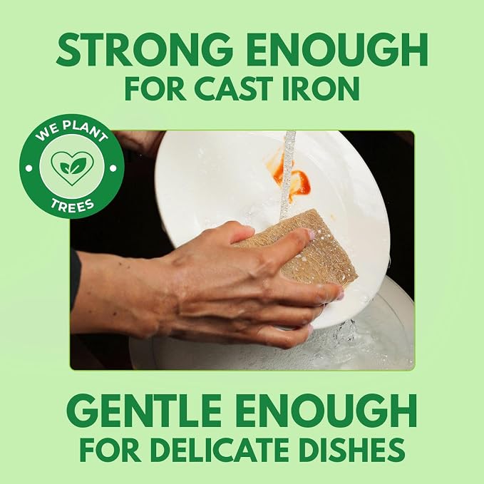 Biodegradable Natural Kitchen Sponges Pack of 6 - Image 3