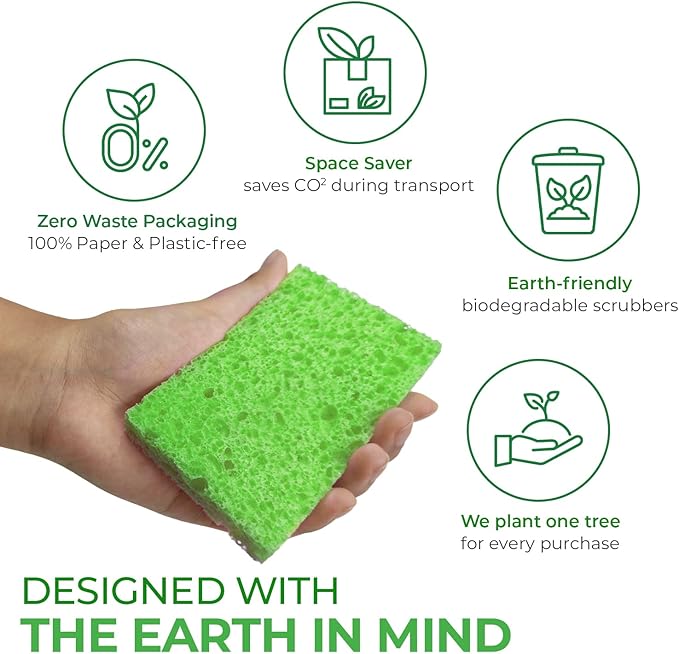 Compressed Cellulose Sponges - Image 6