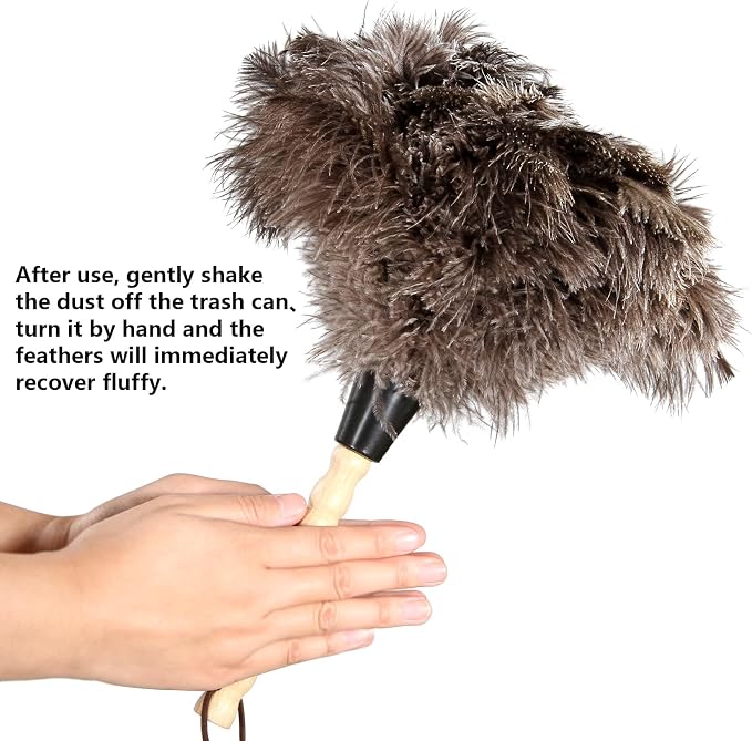 2pcs Ostrich Feather Dusters Natural Feathers Duster - Image 3