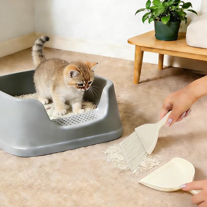 THINKLEARN 2PCS Mini Broom and Dustpan Set, Small Dustpan and Brush, Compact - Image 8