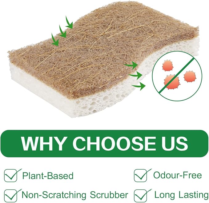 Natural Kitchen Sponge, 12 Pack Kitchen Dish Sponge - Image 4