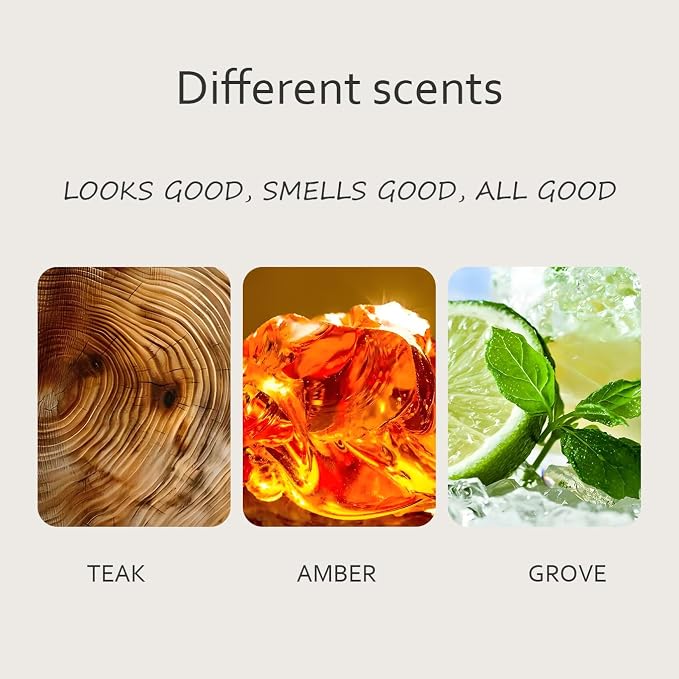 Car Air Freshener, Woodiness Air Freshener, Odor Eliminator, Woodiness Scent - Image 3