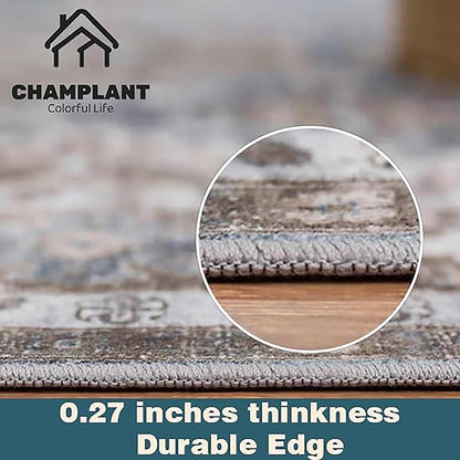 Area Rug 5'x7' Washable Rug Vintage Traditional Floor Cover Thin Retro Kitchen Indoor Distressed Non Slip Carpet for Living Room Bedroom Dining Room